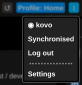 The extension's profile menu after signing in, showing the account name, the synchronised state and log out