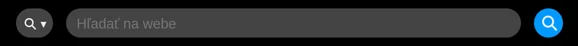 The search bar with its search engine button
